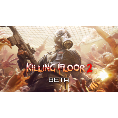 🔴Epic✅KillingFloor2Beta аккаунт+почта💜