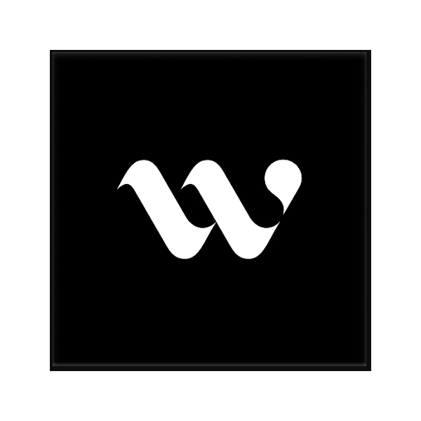 Премиум-аккаунт WISER (1-3 месяца)