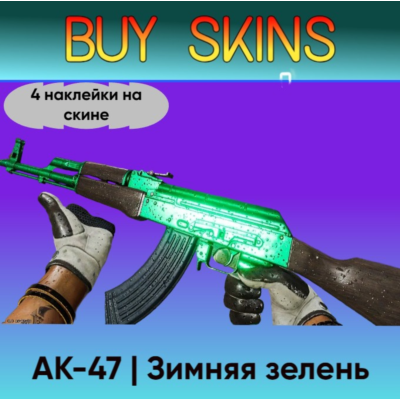 AK-47 | Зимняя зелень (4 наклейки на скине)