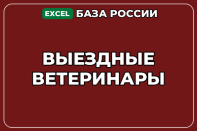База компаний по теме Выездные ветеринары в России