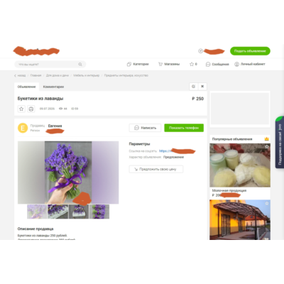 Elite-Board 4.0 и Шаблон Coredo Nulled