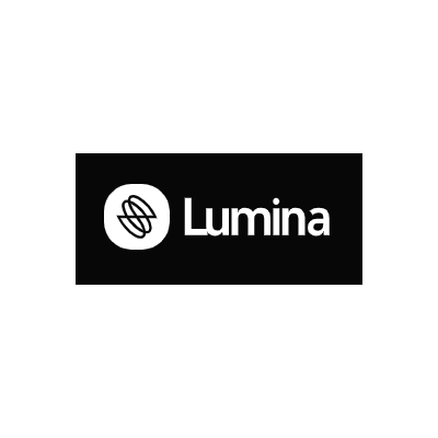 Подписка Lumina AI (BytePlus) + пополнение счета
