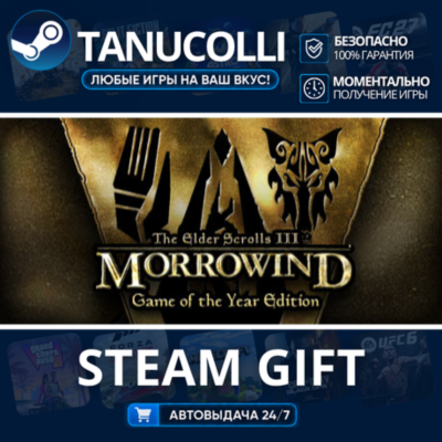 The Elder Scrolls III Morrowind Game of the Year Edition    33