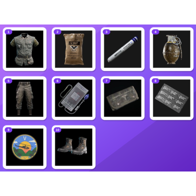 Gray Zone Warfare Twitch bundle — Vintage Blouse (Olive), Combat Ration Pack +8 more