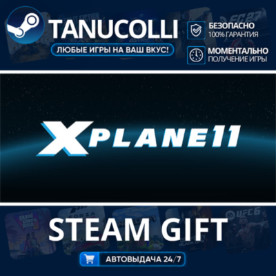 X-Plane 11    33