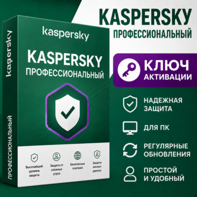 Kaspersky Pro  13