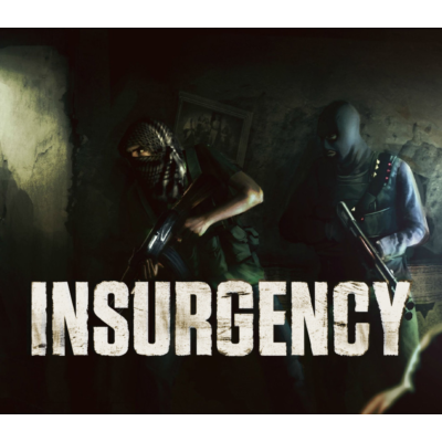 Insurgency PC