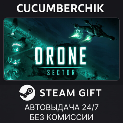 Drone Sector