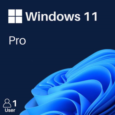Windows 11 PRO         1 PC