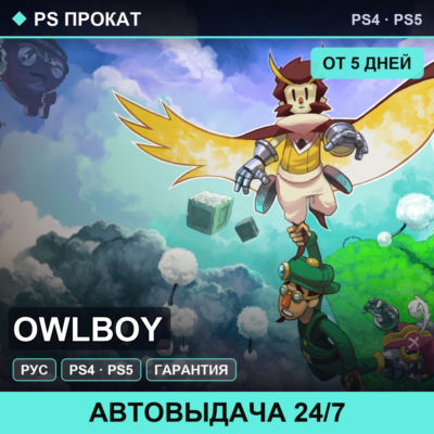 🟣 Owlboy (PS4/PS5/RU) Аренда от 5 дней
