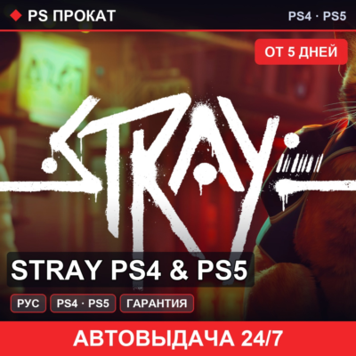 Stray PS4  PS5 PS4PS5RU   5