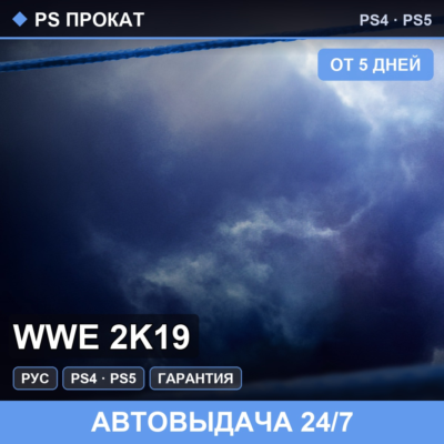 WWE 2K19 PS4PS5RU   5
