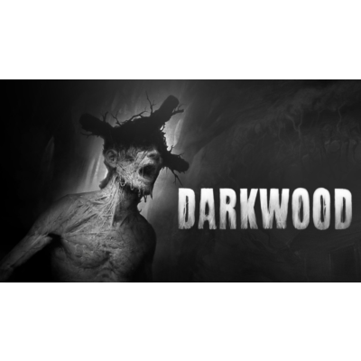 🔴Epic✅Darkwood аккаунт+почта💜
