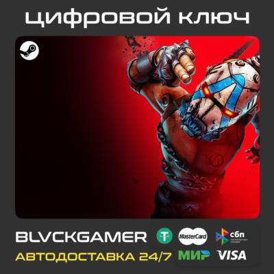 BORDERLANDS 4 STEAM (Global+РФ) - Ключ