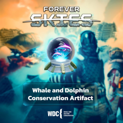 Forever Skies - Whale and Dolphin Conservation Artifact — покупка на аккаунт | XBAY
