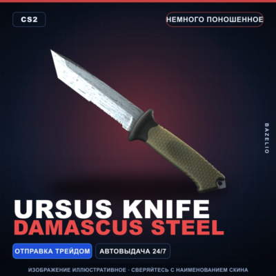 Медвежий нож | Damascus Steel | Немного поношенное · Скин Counter-Strike 2