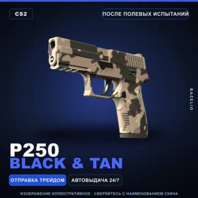 P250 | Black & Tan | После полевых испытаний · Скин Counter-Strike 2