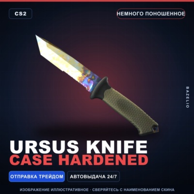 ★ Ursus Knife | Case Hardened | Немного поношенное · Скин Counter-Strike 2