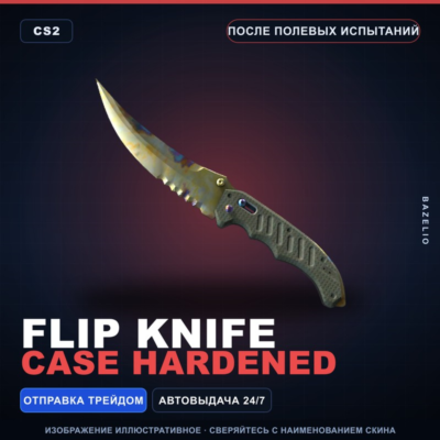 ★ Flip Knife | Case Hardened | После полевых испытаний · Скин Counter-Strike 2