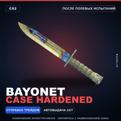 ★ Bayonet | Case Hardened | После полевых испытаний · Скин Counter-Strike 2