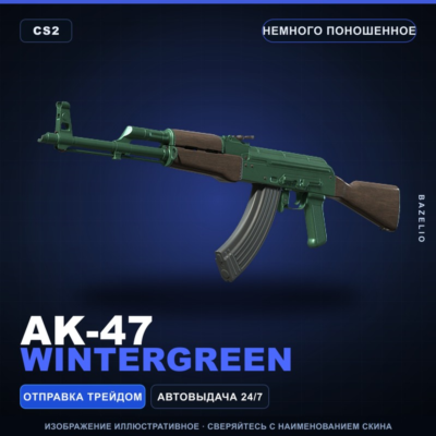 AK-47 | Wintergreen | Немного поношенное · Скин Counter-Strike 2
