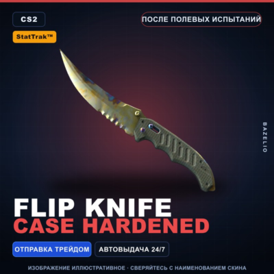 ★ StatTrak™ Flip Knife | Case Hardened | После полевых испытаний · Скин CS2