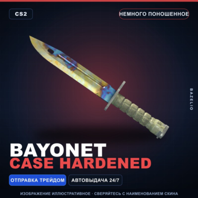 ★ Bayonet | Case Hardened | Немного поношенное · Скин Counter-Strike 2