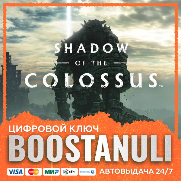 SHADOW OF THE COLOSSUS (PS4/PS5) — на ваш аккаунт PlayStation