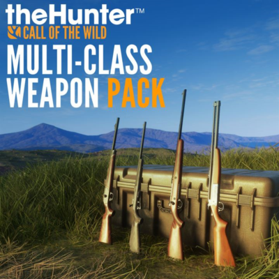 theHunter: Call of the Wild™ - Multi-Class Weapon Pack — покупка на аккаунт | XBAY