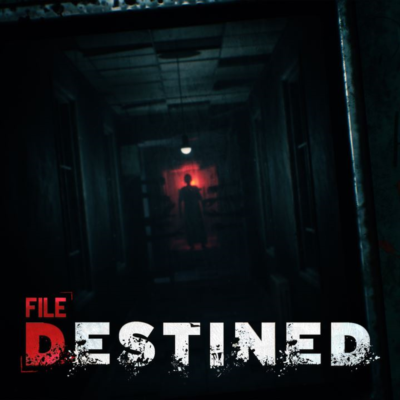 File Destined — покупка на аккаунт | XBAY