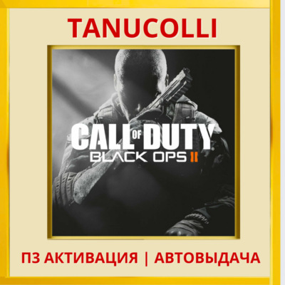 ☀️ Call of Duty: Black Ops 2 (PS4/RU) П3 - Активация