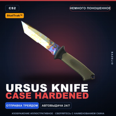 ★ StatTrak™ Ursus Knife | Case Hardened | Немного поношенное · Скин Counter-Strike 2
