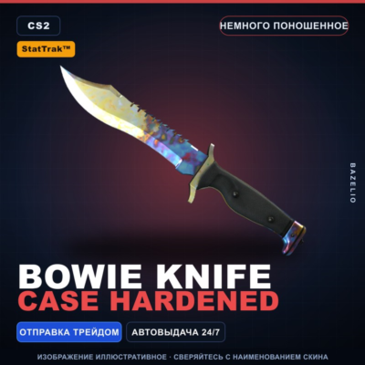 ★ StatTrak™ Bowie Knife | Case Hardened | Немного поношенное · Скин Counter-Strike 2