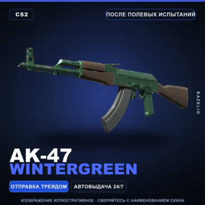 AK-47 | Wintergreen | После полевых испытаний · Скин Counter-Strike 2