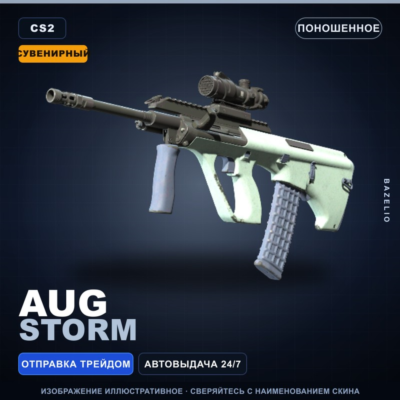 Сувенирный AUG | Storm | Поношенное · Скин Counter-Strike 2