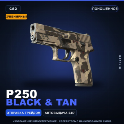 Сувенирный P250 | Black & Tan | Поношенное · Скин Counter-Strike 2