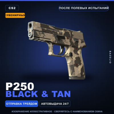 Сувенирный P250 | Black & Tan | После полевых испытаний · Скин Counter-Strike 2