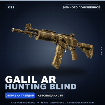 Galil AR | Hunting Blind | Немного поношенное · Скин Counter-Strike 2