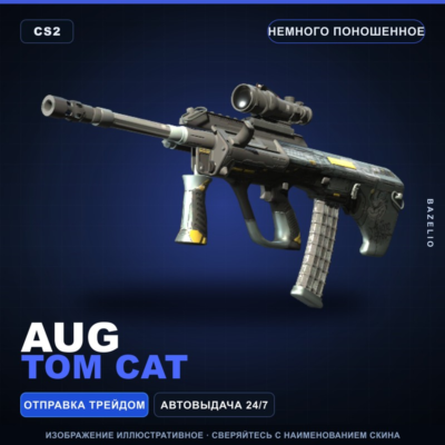 AUG | Tom Cat | Немного поношенное · Скин Counter-Strike 2