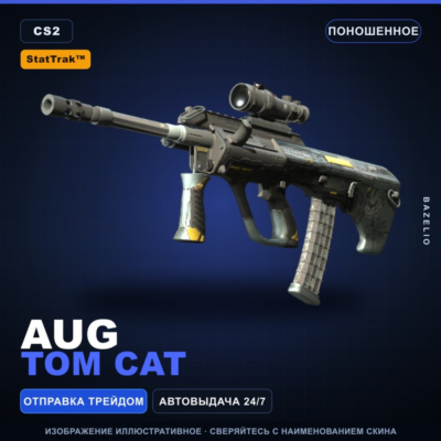 StatTrak™ AUG | Tom Cat | Поношенное · Скин Counter-Strike 2