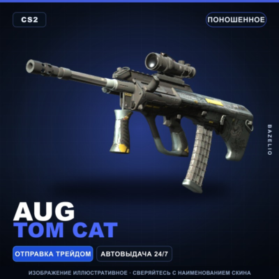 AUG | Tom Cat | Поношенное · Скин Counter-Strike 2