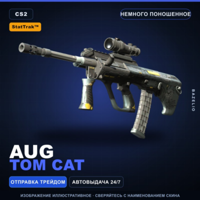 StatTrak™ AUG | Tom Cat | Немного поношенное · Скин Counter-Strike 2