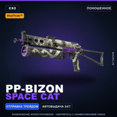 StatTrak™ PP-Bizon | Space Cat | Поношенное · Скин Counter-Strike 2