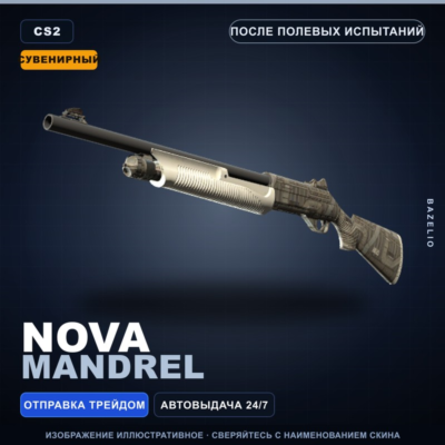 Сувенирный Nova | Mandrel | После полевых испытаний · Скин Counter-Strike 2