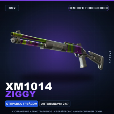 XM1014 | Ziggy | Немного поношенное · Скин Counter-Strike 2