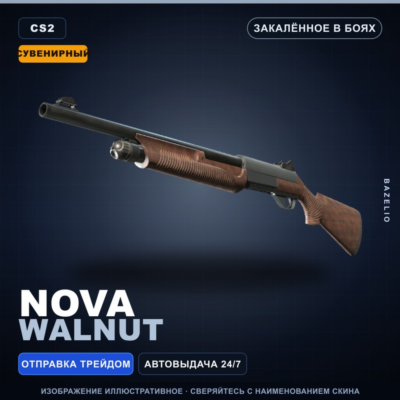 Сувенирный Nova | Walnut | Закалённое в боях · Скин Counter-Strike 2