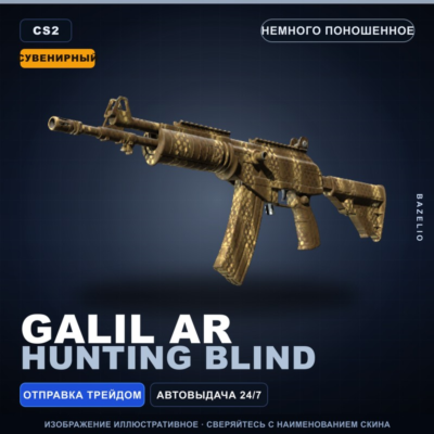Сувенирный Galil AR | Hunting Blind | Немного поношенное · Скин Counter-Strike 2