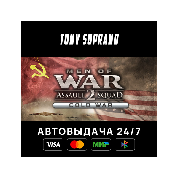 Men of War: Assault Squad 2 — Cold War STEAM GIFT