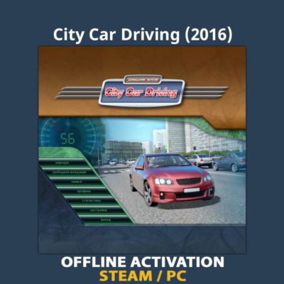 City Car Driving (2016)