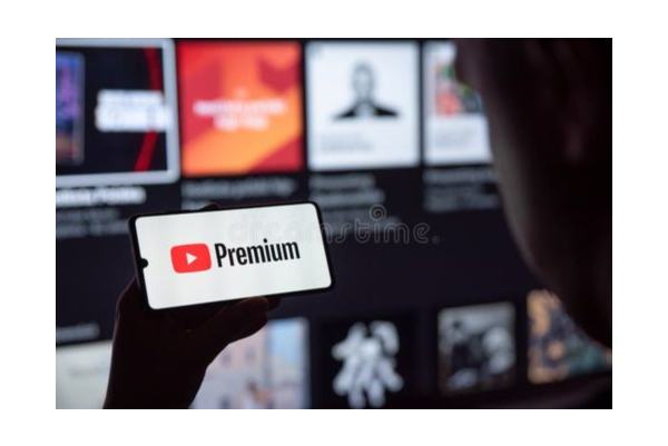 YouTube Premium 12 месяцев (ссылка для активации)